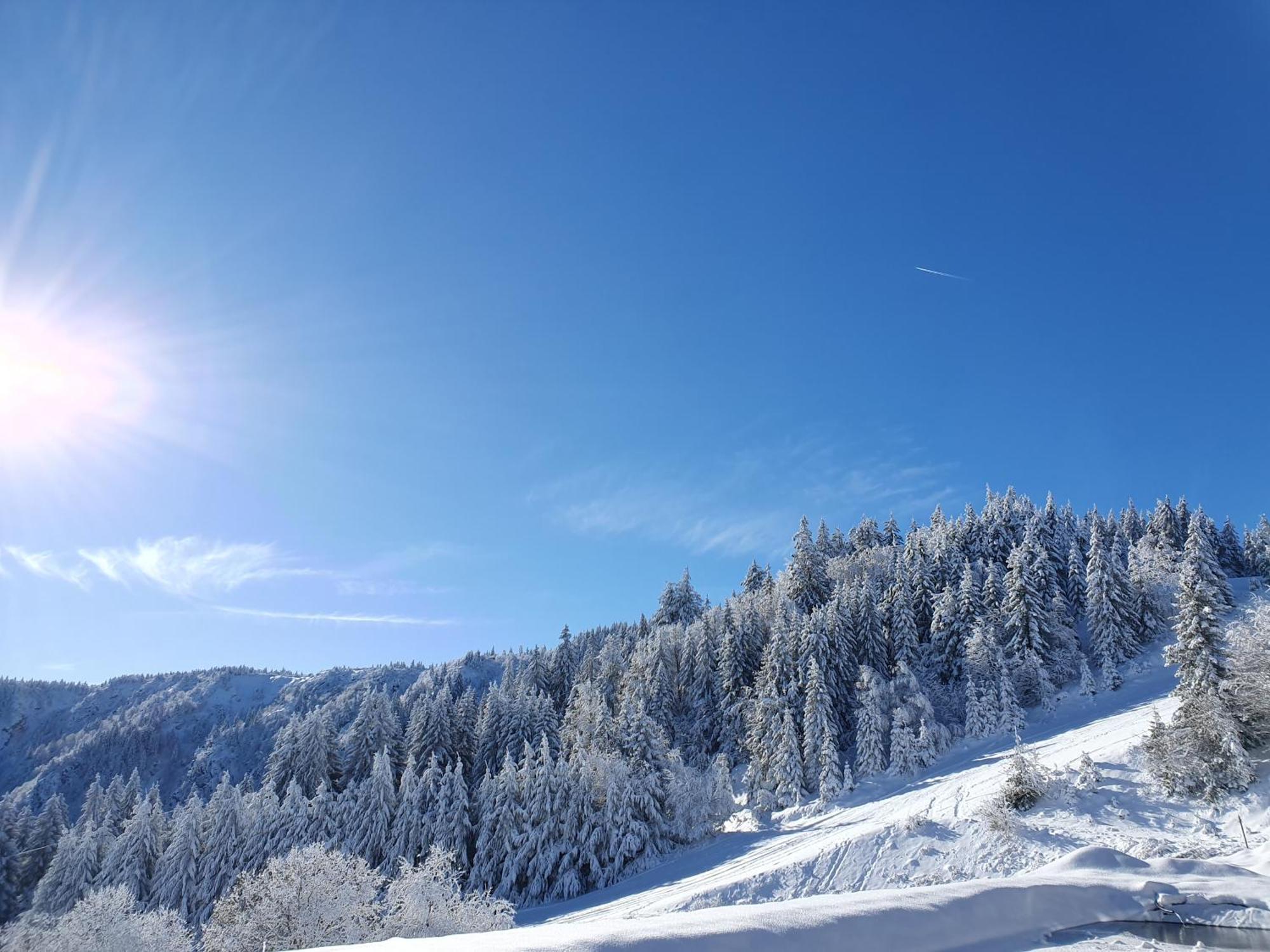 Agreable 3 Pieces Au Lac Blanc オルベ エクステリア 写真